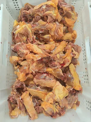 Chicken backs / carcass